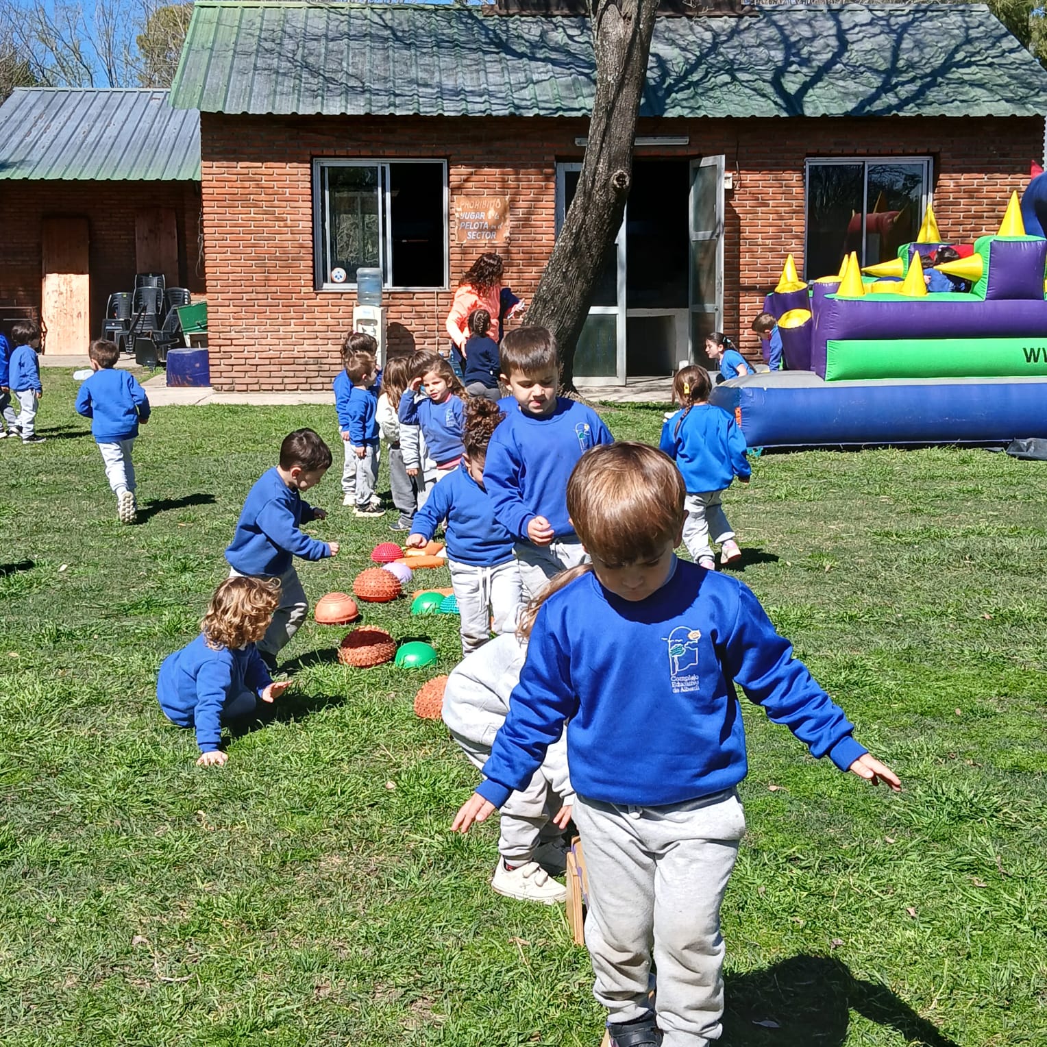 Actividad en el jardín